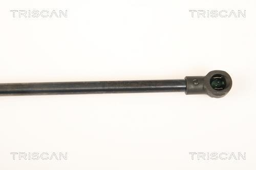 Vérin (Vérin de hayon) Triscan A/S ref. 8710 28234
