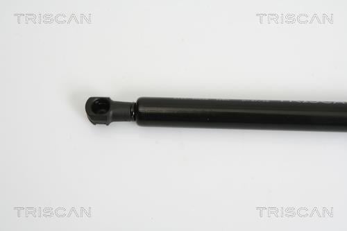 Vérin (Vérin de hayon) Triscan A/S 8710 28235