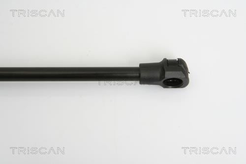 Vérin (Vérin de hayon) Triscan A/S 8710 28235