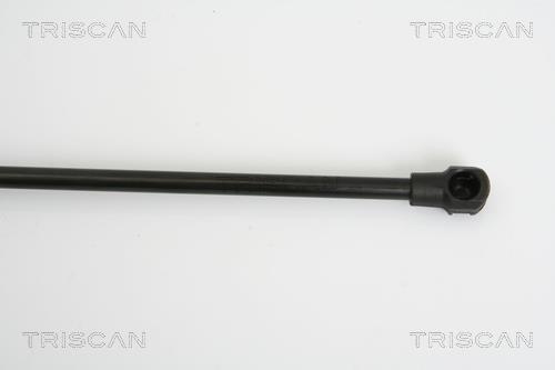 Vérin (Vérin de hayon) Triscan A/S ref. 8710 28236