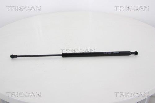 Muelle neumático Triscan A/S ref. 8710 28237