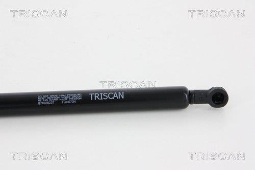 Muelle neumático Triscan A/S ref. 8710 28237