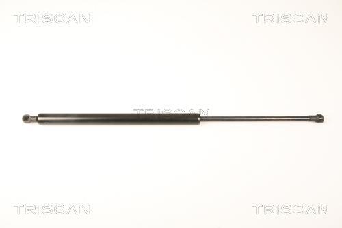 Vérin (Vérin de hayon) Triscan A/S 8710 28238