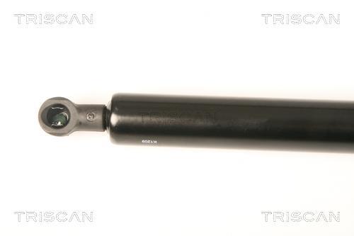 Vérin (Vérin de hayon) Triscan A/S 8710 28238