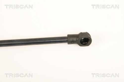 Vérin (Vérin de hayon) Triscan A/S 8710 28239