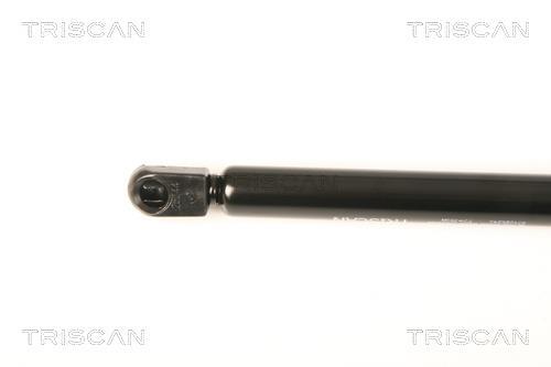 Vérin (Vérin de hayon) Triscan A/S 8710 28240