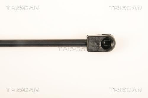 Vérin (Vérin de hayon) Triscan A/S 8710 28240