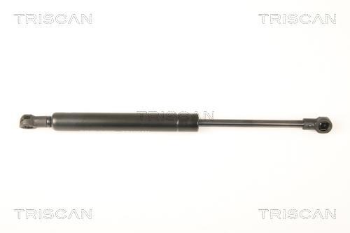 Vérin (Vérin de hayon) Triscan A/S 8710 28241