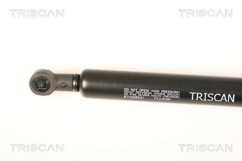 Vérin (Vérin de hayon) Triscan A/S 8710 28241