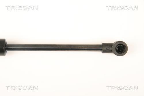 Vérin (Vérin de hayon) Triscan A/S 8710 28241