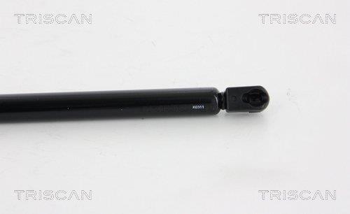 Vérin (Vérin de hayon) Triscan A/S 8710 28242
