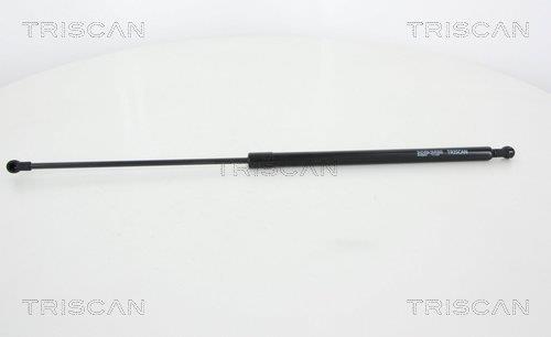Vérin (Vérin de hayon) Triscan A/S 8710 28243