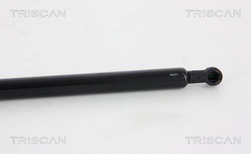 Vérin (Vérin de hayon) Triscan A/S 8710 28243