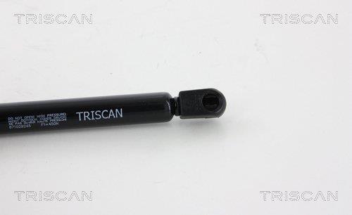 Vérin (Vérin de hayon) Triscan A/S ref. 8710 28245