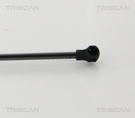 Vérin (Vérin de hayon) Triscan A/S 8710 28247
