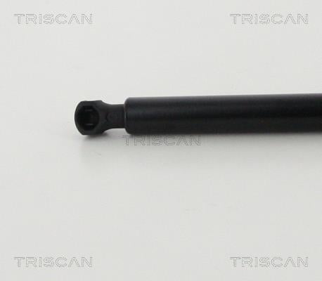 Vérin (Vérin de hayon) Triscan A/S 8710 28247