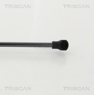 Vérin (Vérin de hayon) Triscan A/S 8710 28248