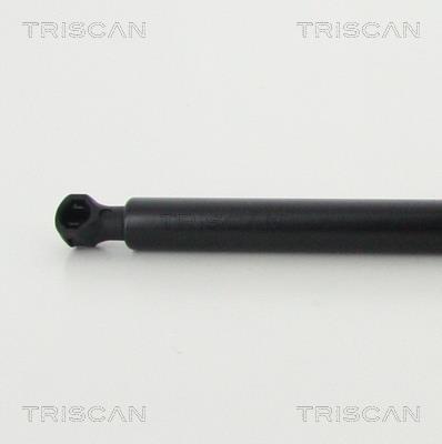 Vérin (Vérin de hayon) Triscan A/S 8710 28248