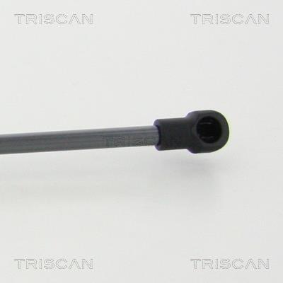 Vérin (Vérin de hayon) Triscan A/S 8710 28250