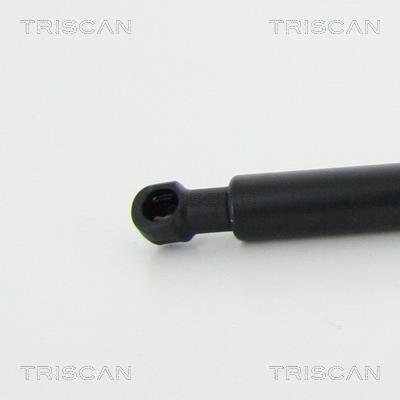 Vérin (Vérin de hayon) Triscan A/S 8710 28250