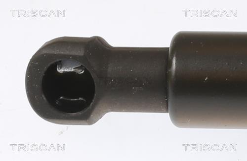 Vérin (Vérin de hayon) Triscan A/S 8710 28251