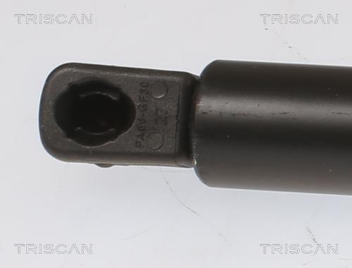 Cilindro Triscan A/S 8710 28252