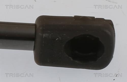 Cilindro Triscan A/S 8710 28252
