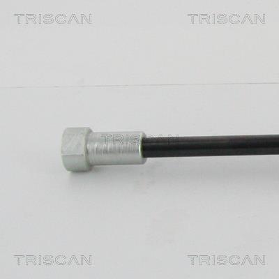 Vérin (Vérin de hayon) Triscan A/S 8710 28293