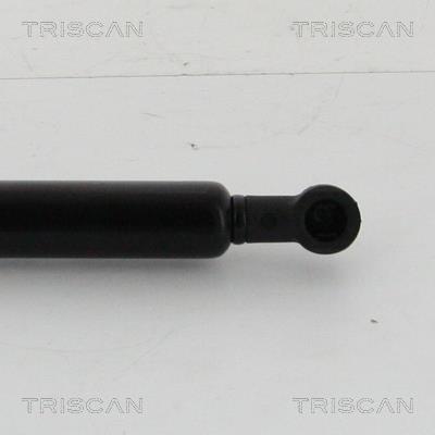 Vérin (Vérin de hayon) Triscan A/S 8710 28293