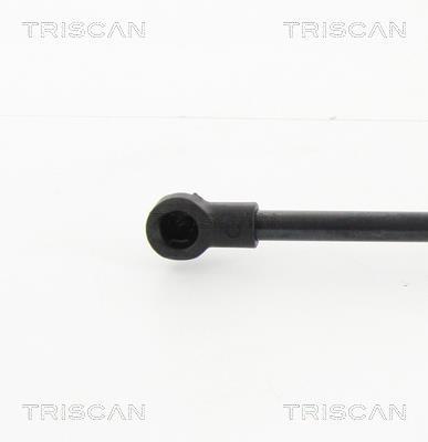 Vérin (Vérin de hayon) Triscan A/S 8710 28295