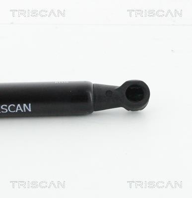 Vérin (Vérin de hayon) Triscan A/S 8710 28295