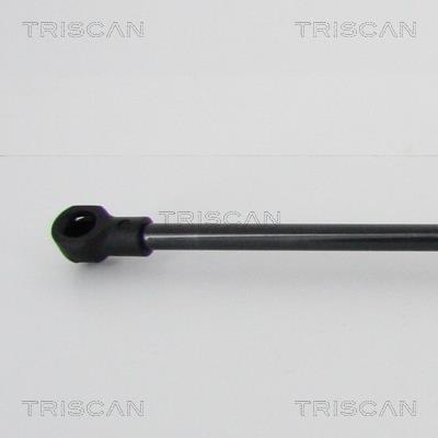 Vérin (Vérin de hayon) Triscan A/S 8710 28296