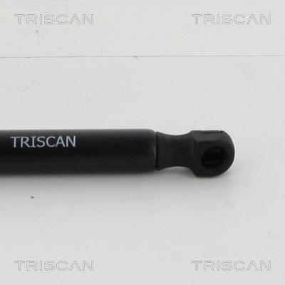 Vérin (Vérin de hayon) Triscan A/S 8710 28296