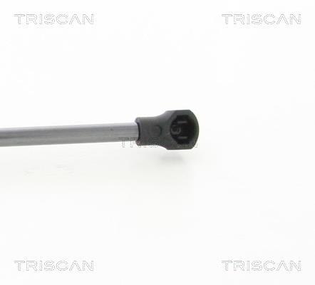 Cilindro Triscan A/S 8710 28297
