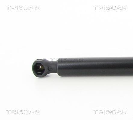Cilindro Triscan A/S 8710 28297