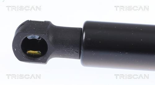 Cilindro Triscan A/S 8710 28300