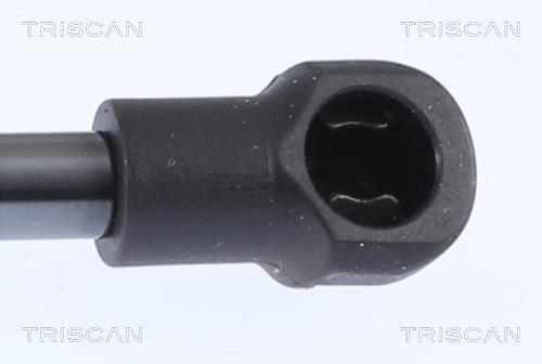 Cilindro Triscan A/S 8710 28300