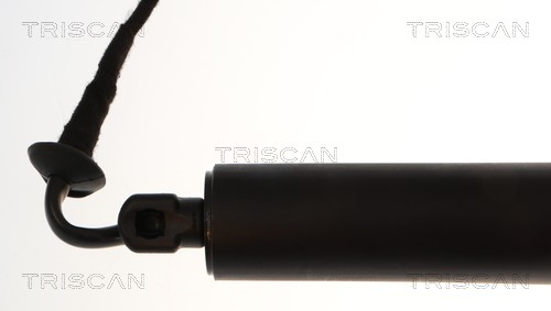 Vérin de hayon, de coffre (Vérin de hayon) Triscan A/S 8710 28311