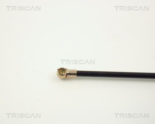 Muelle neumático Triscan A/S 8710 2902