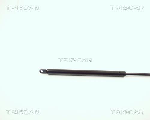 Vérin (Vérin de hayon) Triscan A/S 8710 2903