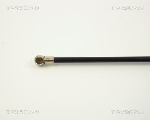Vérin (Vérin de hayon) Triscan A/S 8710 2903