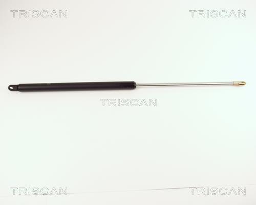 Vérin (Vérin de hayon) Triscan A/S 8710 2904