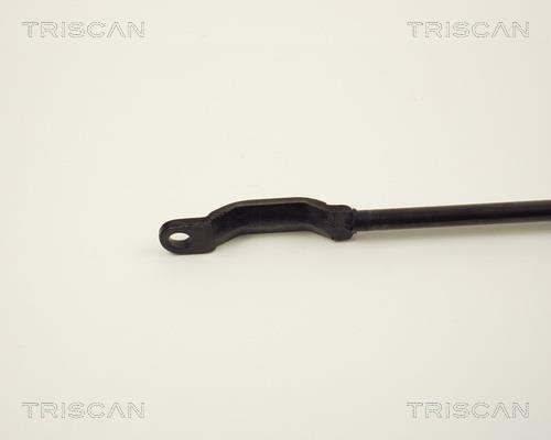 Vérin (Vérin de hayon) Triscan A/S ref. 8710 2907
