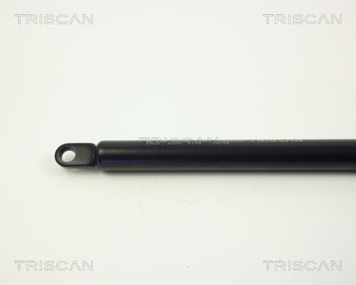 Vérin (Vérin de hayon) Triscan A/S 8710 2908