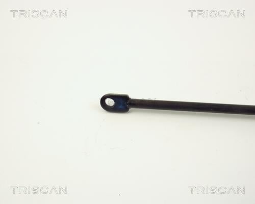 Vérin (Vérin de hayon) Triscan A/S 8710 2908