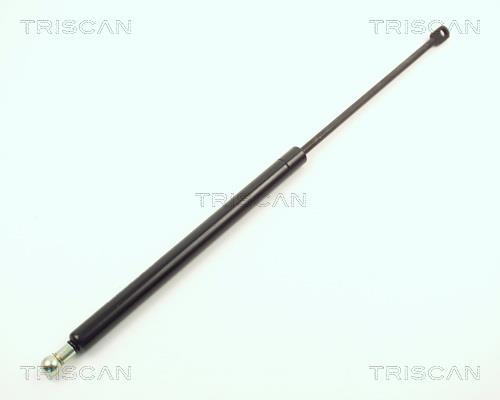 Vérin (Vérin de hayon) Triscan A/S 8710 2909