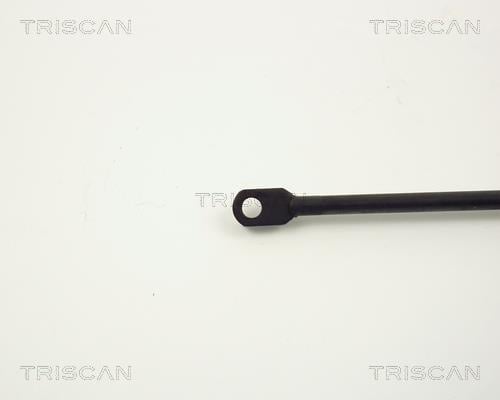 Vérin (Vérin de hayon) Triscan A/S 8710 2909
