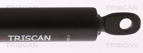 Vérin (Vérin de hayon) Triscan A/S ref. 8710 29101