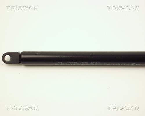 Vérin (Vérin de hayon) Triscan A/S ref. 8710 29103