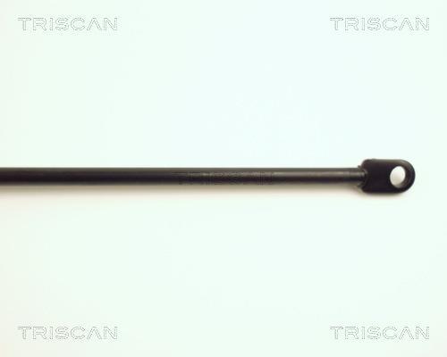 Vérin (Vérin de hayon) Triscan A/S ref. 8710 29103